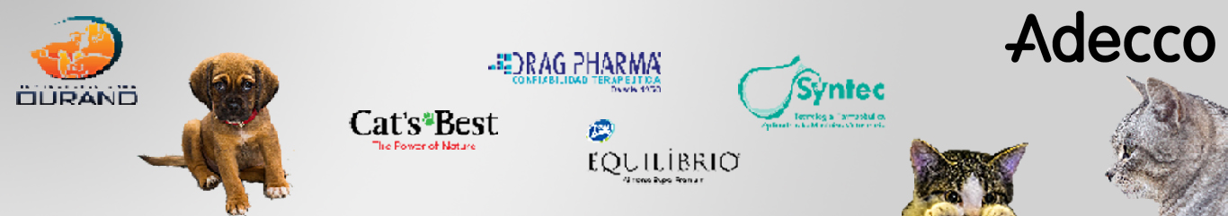 Imagen del encabezado que representa el diseño corporativo