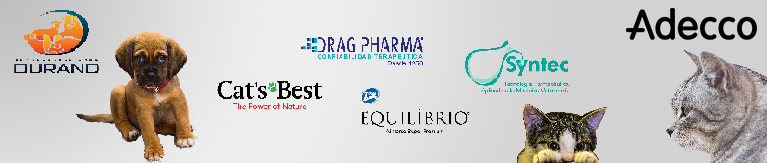 Imagen del encabezado que representa el diseño corporativo